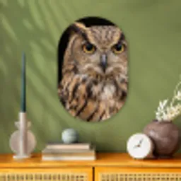 Oehoe - Uil - Portret - Bruin Wandcirkel Ovaal Forex klein -sfeer2