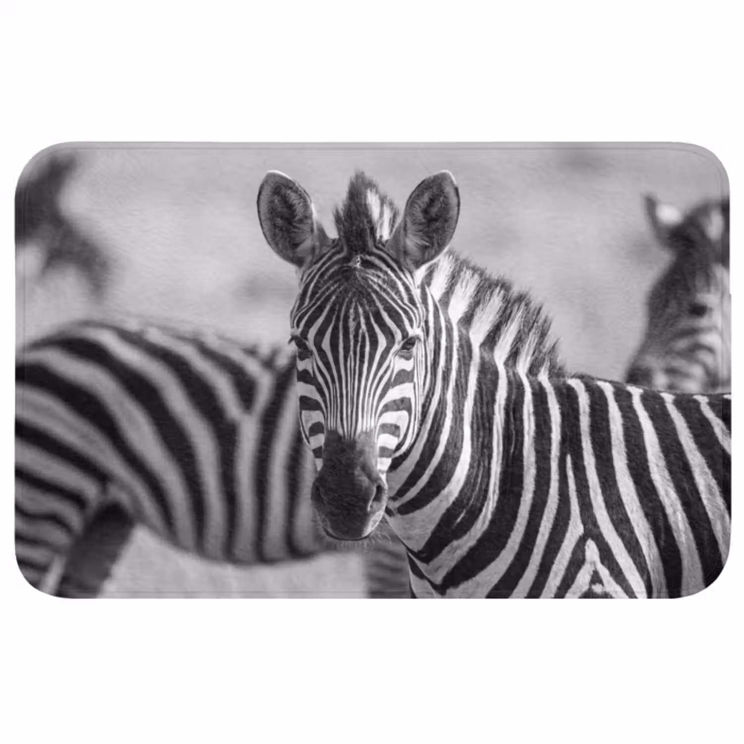 Badmat - Zebra's - Zwart - Wit