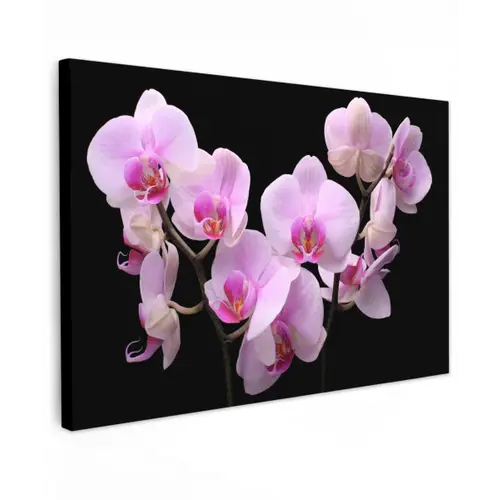 Orchidee - Bloemen - Roze - Flora canvas 2cm klein -z3d