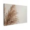 Gras - Planten - Natuur - Pampasgras canvas 2cm klein -z3d