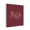 Bitch please - Rood - Blauw aluminium wit klein -3d