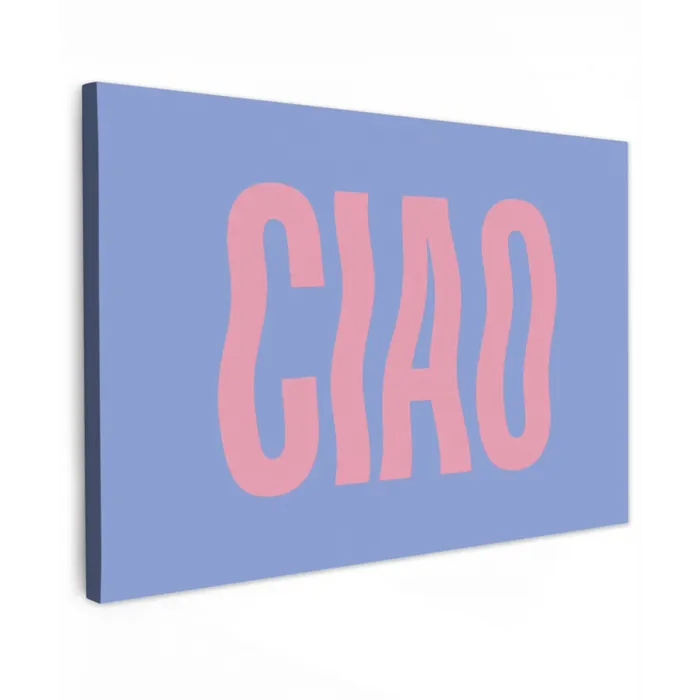 Ciao - Roze - Blauw - Golvend Tuinposter op houten frame 2 cm dik klein -3d