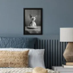 Sphynx - Kat - Dieren - Humor - Spaghetti - Zwart Wit fotolijst zwart zonder passe partout klein -sfeer3
