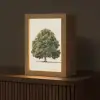 Eikenboom - Groen - Lichte achtergrond Light Box met kabel (Tafellamp) klein -z3d_website