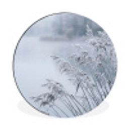 Riet - Bevroren - Winter - Natuur Wandcirkel aluminium klein -3d