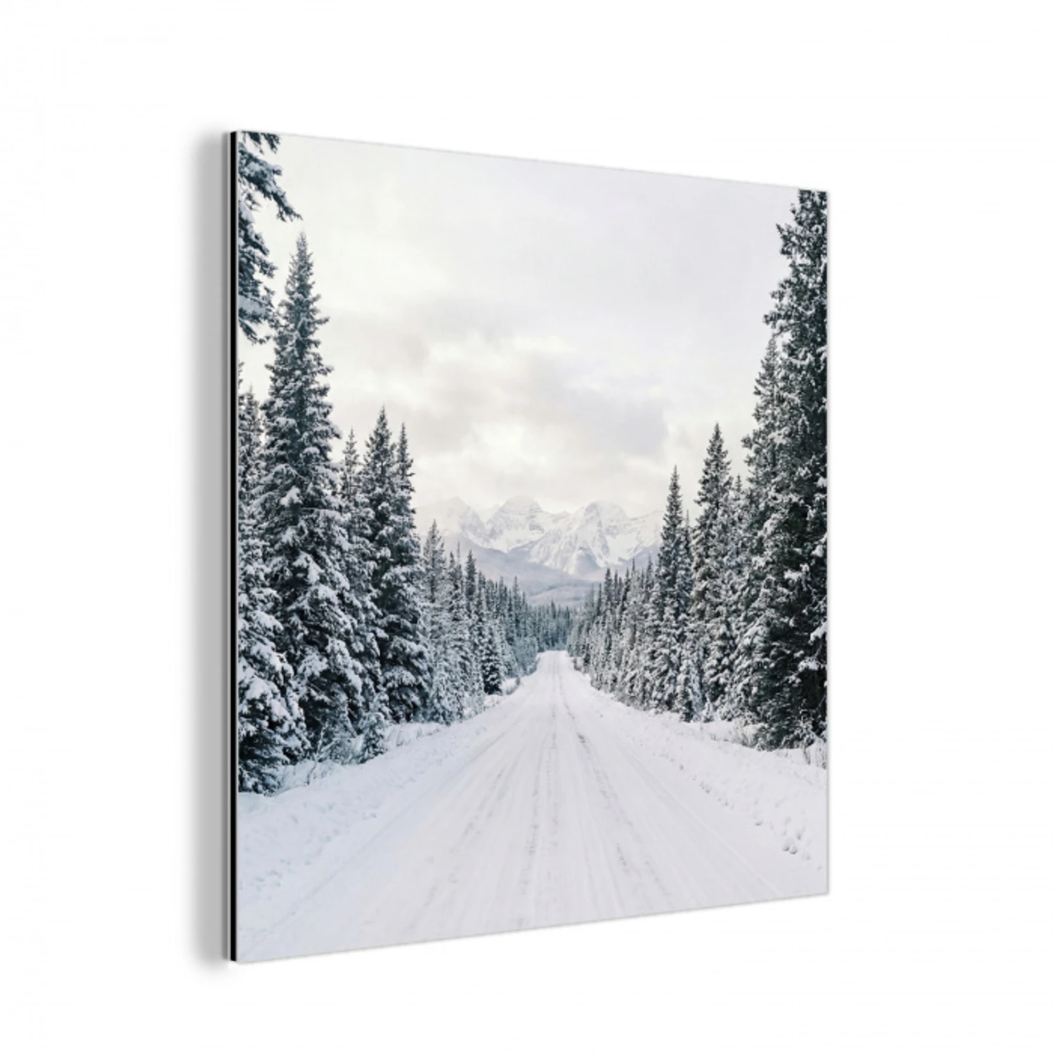 Weg - Sneeuw - Naaldbos - Winter - Avontuurlijk aluminium wit klein -3d