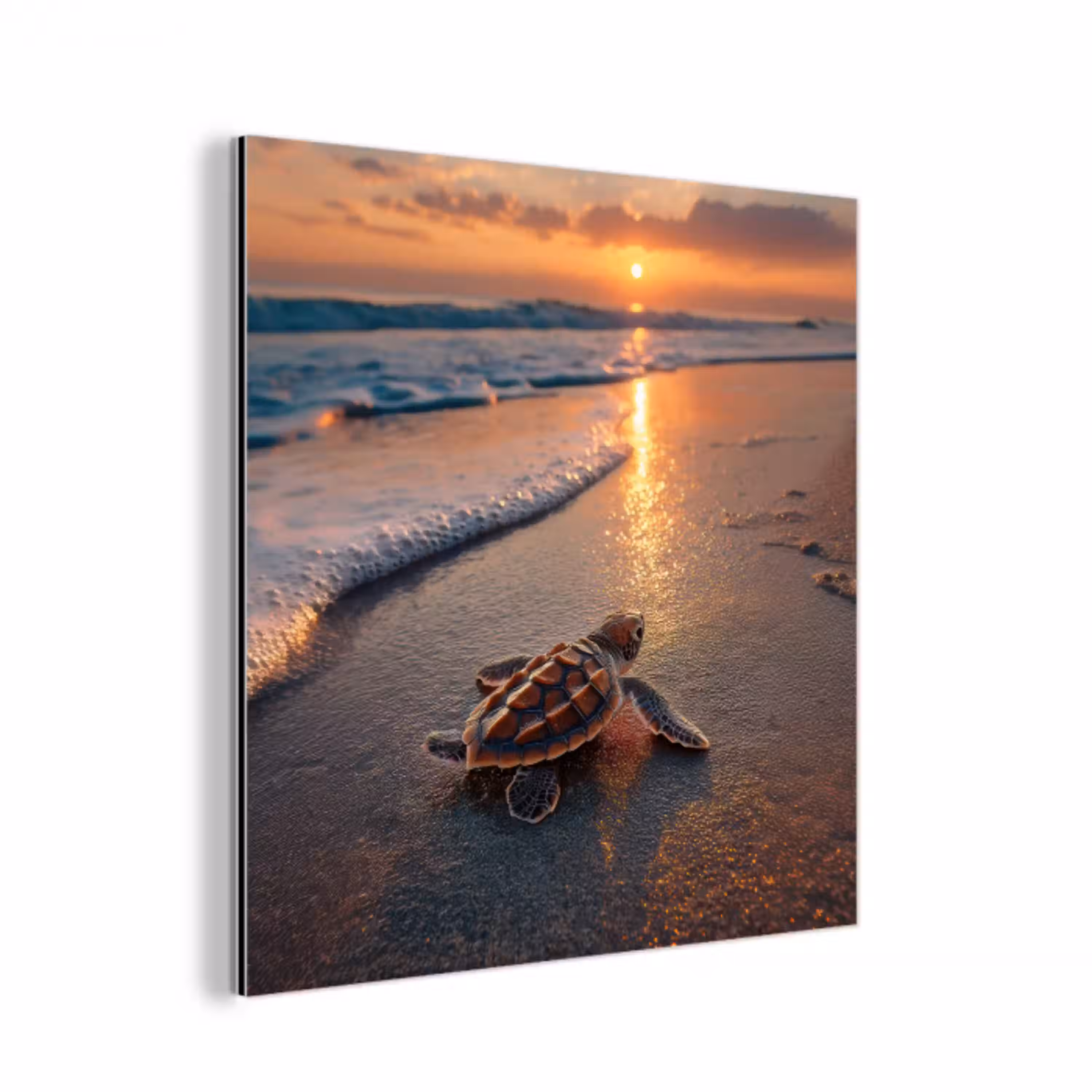 Schildpad - strand - Zonsondergang aluminium wit klein -3d