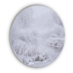 Rivier - Sneeuw - Bos - Winter - Schilderachtig Akoestische PET Vilt - Rond klein -3d