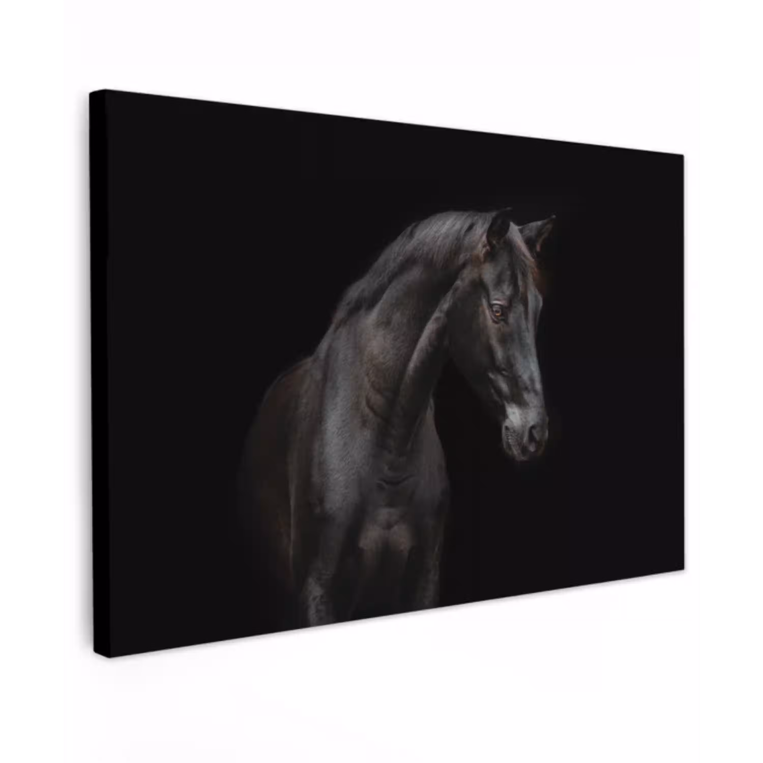Paard - Dieren - Zwart - Portret Tuinposter op houten frame 2 cm dik klein -3d