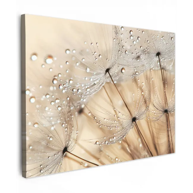 Canvas schilderij - Paardenbloem - Abstract - Natuur - Beige