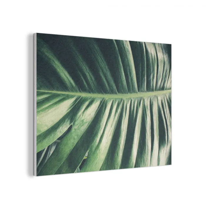 Inductie beschermer - Bananenblad - Tropisch - Jungle - Bladeren PET vilt klein -3d