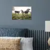 Koeien - Licht - Gras - Dieren poster papier klein -sfeer2
