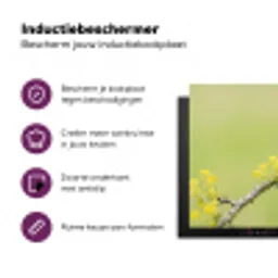 Vogel - Tak - Natuur - Kleurrijk Inductie beschermer vinyl 3mm klein -zzzzzzz-cc-usp