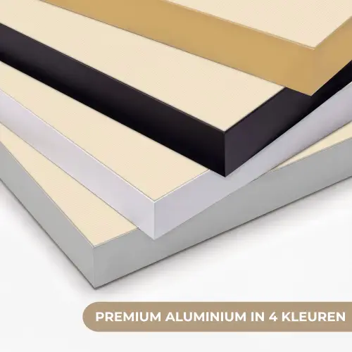Schelp - Oranje - Ribbels Textielframe zwart klein -USP_kleurenNL