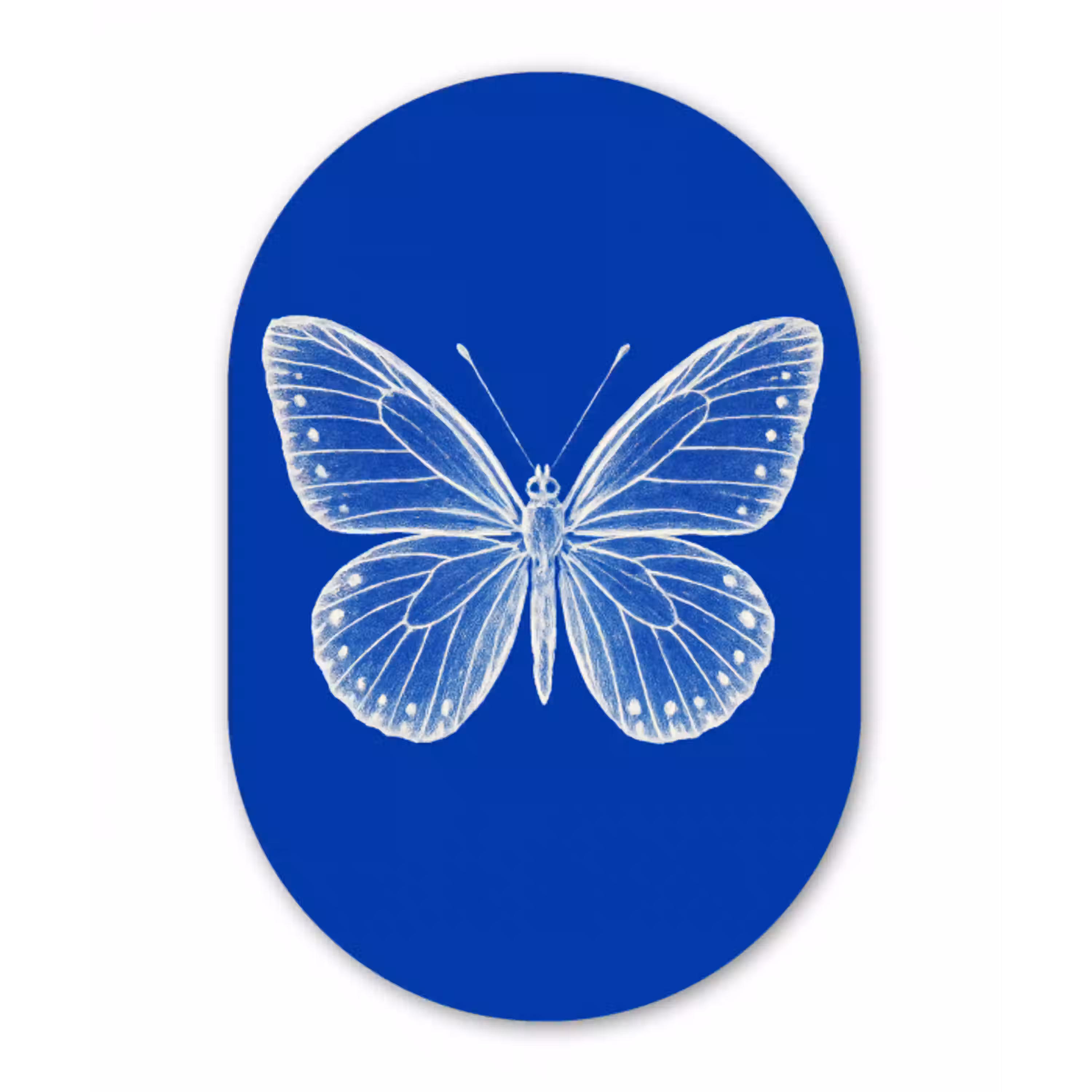 Vlinder - Wit - Getekend - Stippen Wandcirkel Ovaal Glas middel -3d