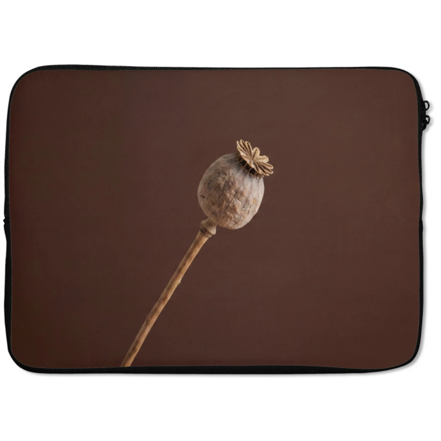 Papaverbol - Droogbloem - Bruin - Minimalistisch laptophoes neopreen klein -zkaufland3dotto