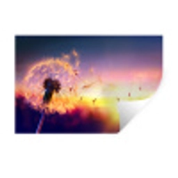 Paardenbloem - Bloemen - Zonsondergang - Horizon - Nacht Muursticker klein -3d