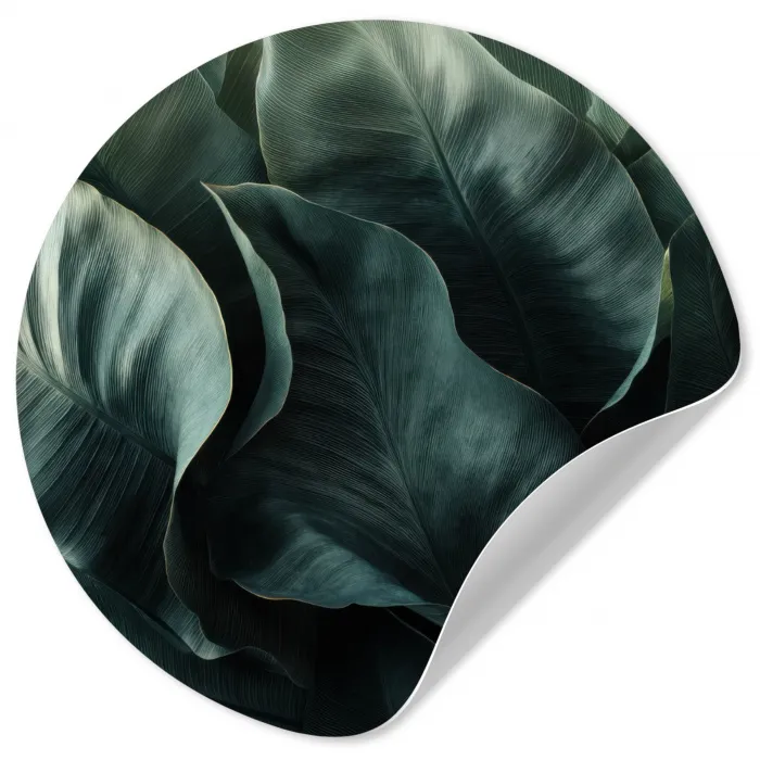 Groen - Bladeren - Glad - Nerven Wandcirkel behangsticker klein -3d
