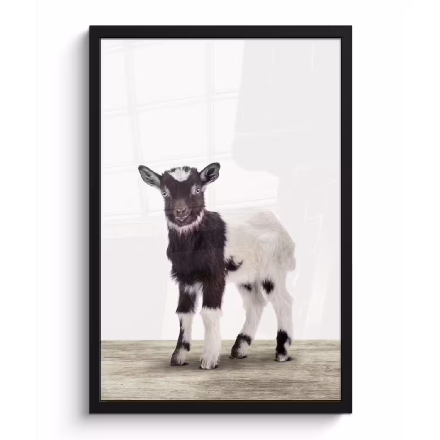 Poster met lijst - Geit - Dieren - Kinderen - Jongens - Meisjes