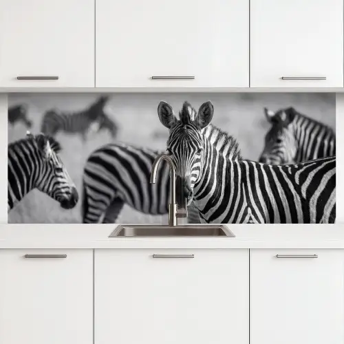 Zebra's - Zwart - Wit keuken achterwand 2 middel -3d