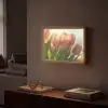 Tulpen - Roze - Zonnestralen Light Box met batterij (Wandlamp) middel -sfeer1