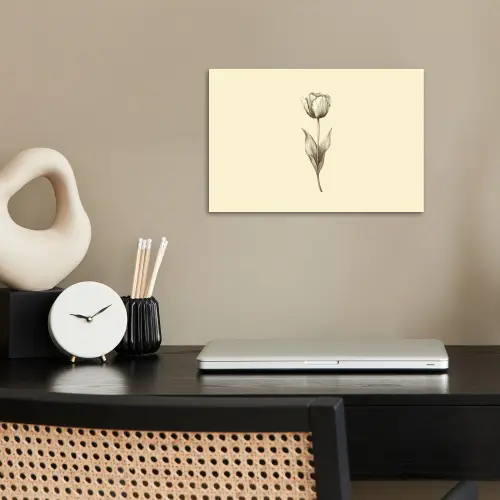 Illustratie - Tulp - Zwart poster papier klein -sfeer1