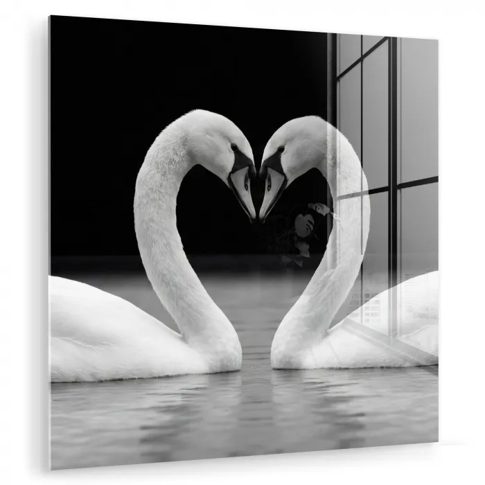 Zwanen - Hart - Zwart - Wit plexiglas 5mm klein -zzzproduct_nieuw