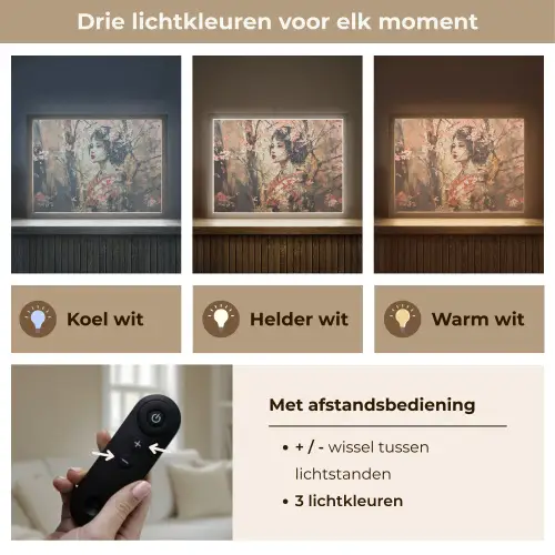 Kimono - Vrouw - kersenbomen Light Box met batterij (Wandlamp) middel -USP_lichtkleurNL
