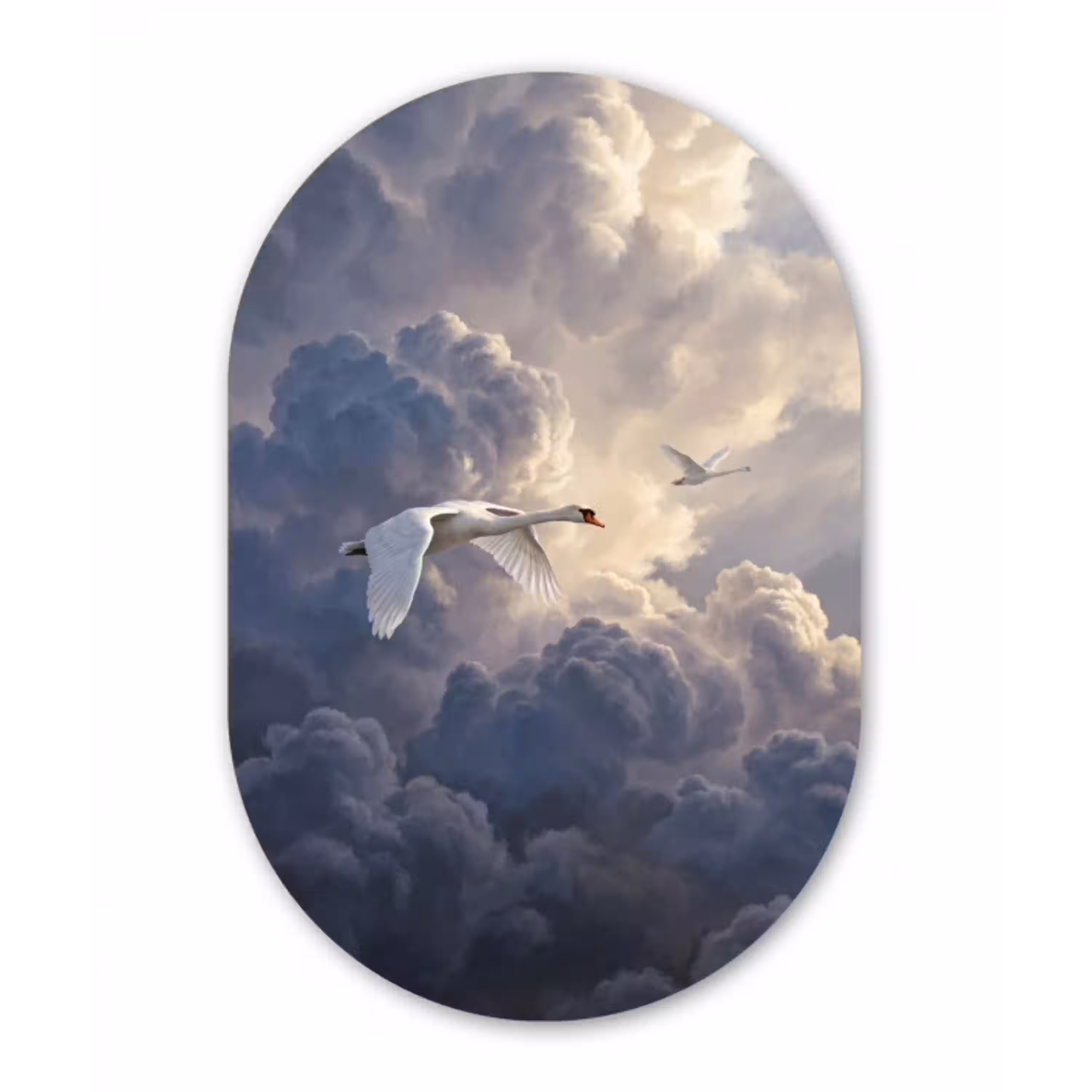 Vogel - Vliegend - Natuur - Wit - Wolken Wandcirkel Ovaal Aluminium middel -3d