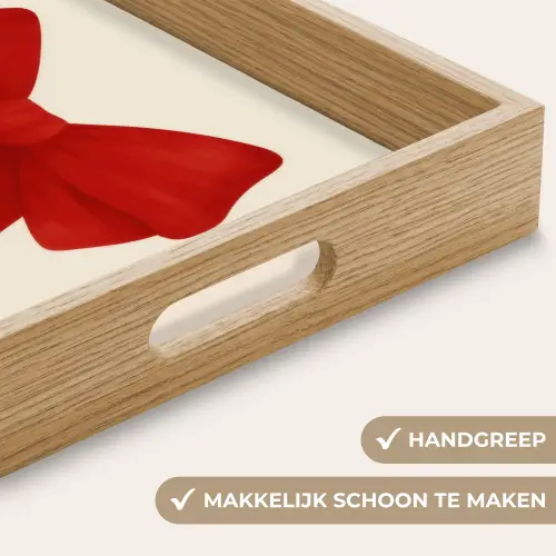 Strik - Symmetrisch - Rood - Lint Dienblad Rechthoek middel -USP_HandgreepNL