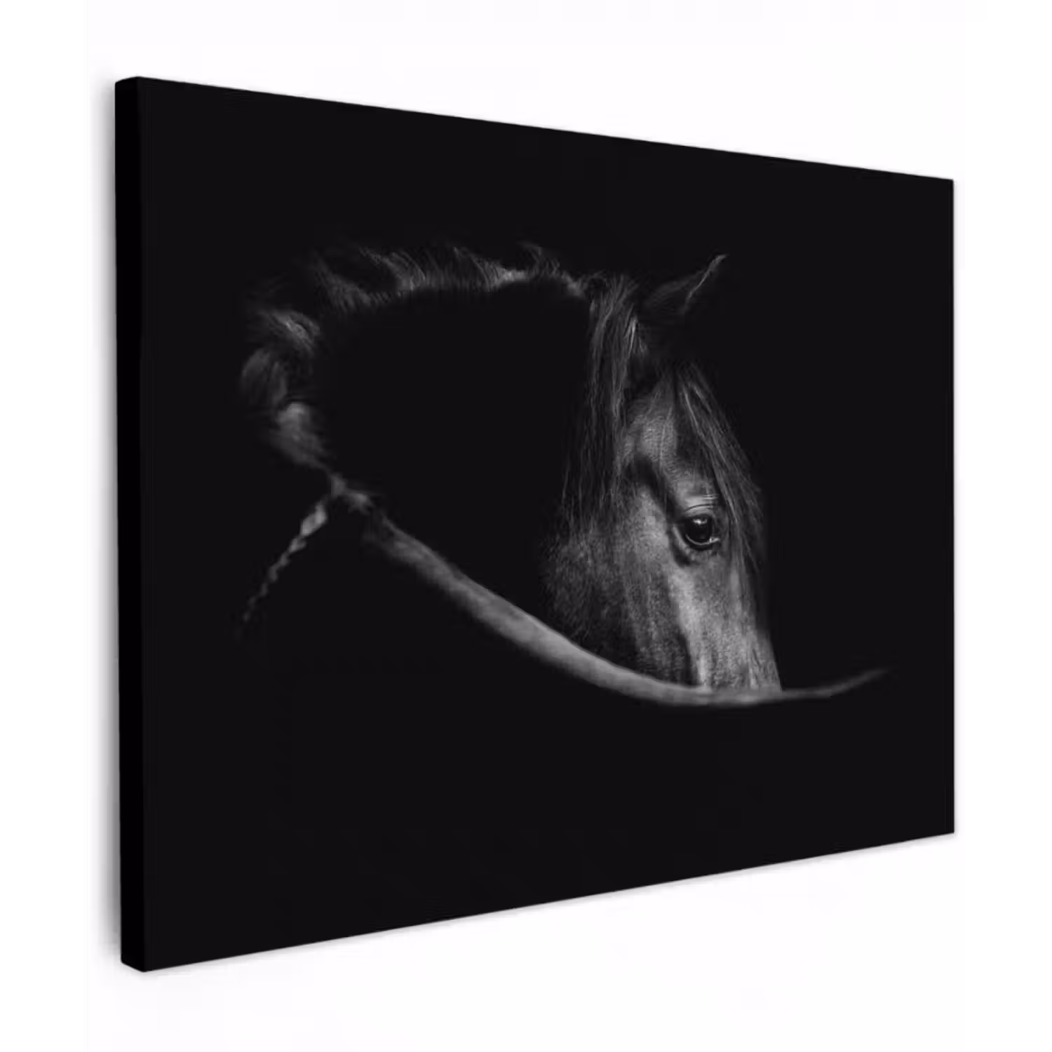 Leinwandbild - Pferde - Porträt - Schwarz - Tiere