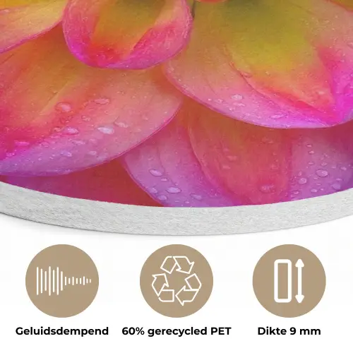 Roze - Dahlia - Kleurrijk Akoestische PET Vilt - Rond klein -closeup_NL