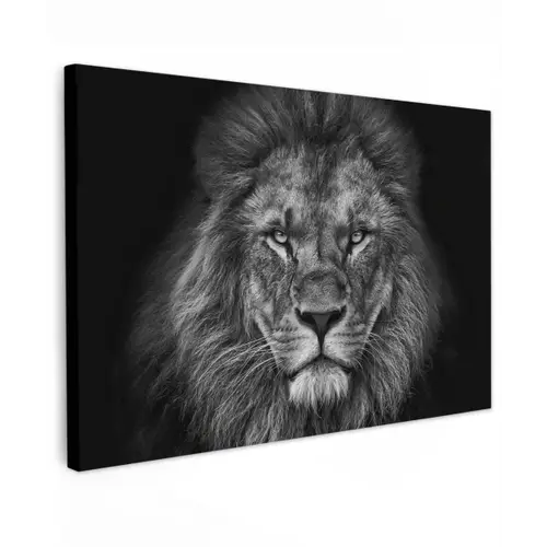 Zwart-wit portret van een leeuw Tuinposter op houten frame 2 cm dik klein -3d