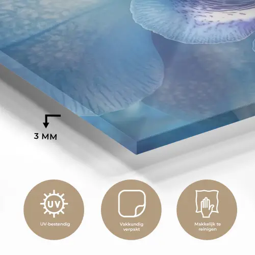 Blauw - Orchidee - Elegeant plexiglas 5mm klein -sfeer2