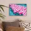 Strandballen - Roze - Water canvas 2cm klein -sfeer1