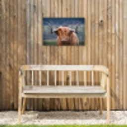 Schotse Hooglander - Koeienkop - Landschap - Natuur - Koe Tuinposter op houten frame 2 cm dik klein -sfeer4