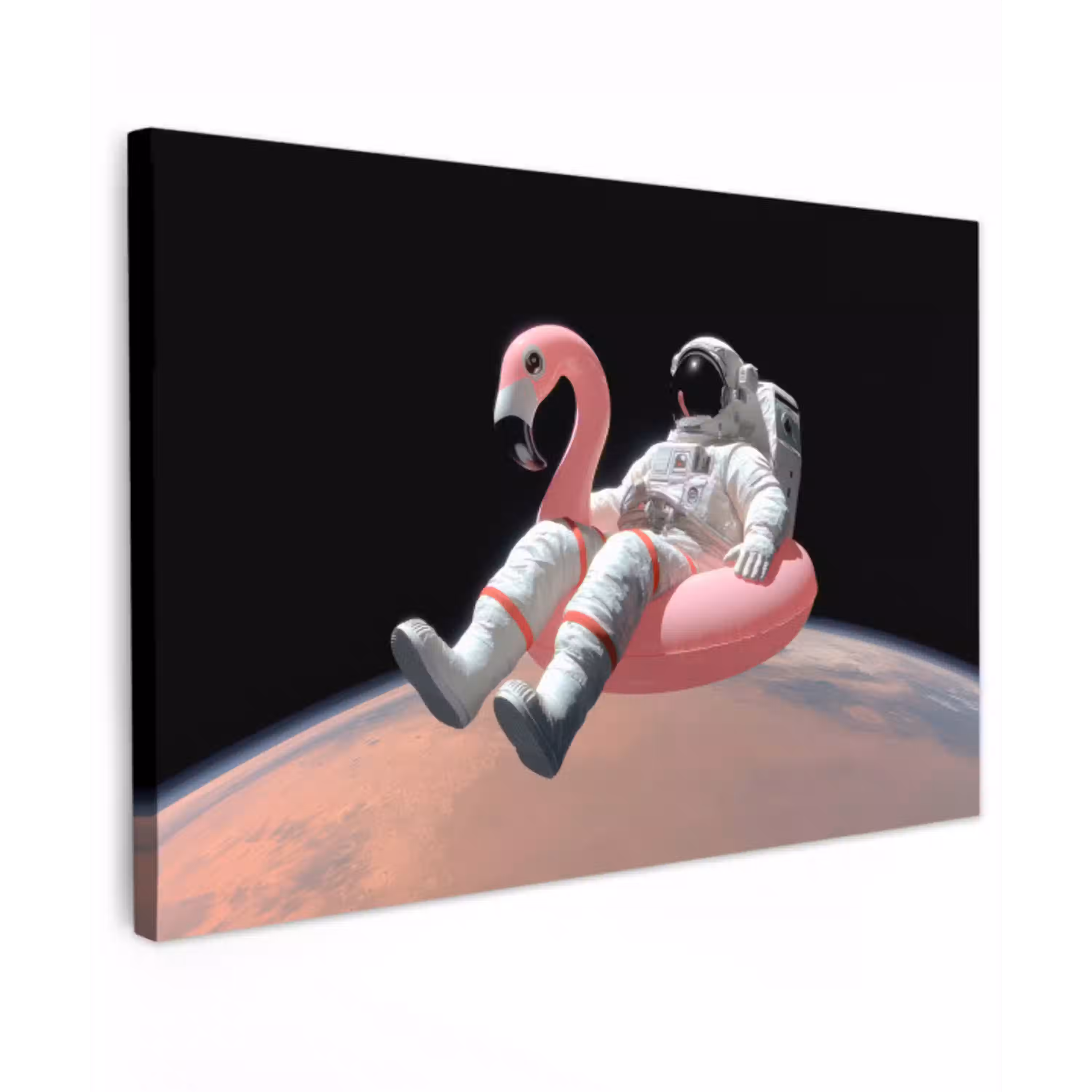 Astronaut - Flamingo - Zwemband - Roze canvas 2cm klein -z3d