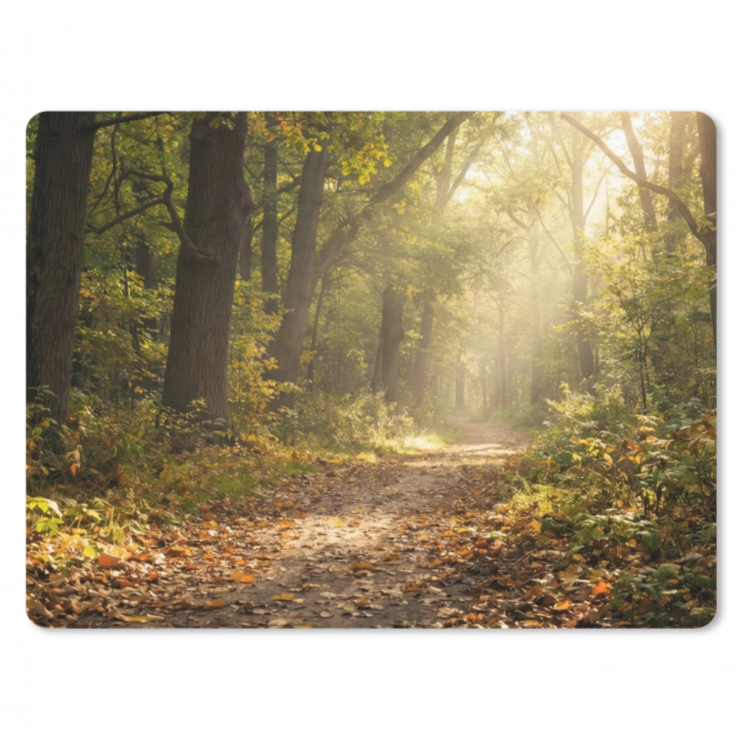 Zonlicht - Bospad - Bomen muismat rubber klein -3d