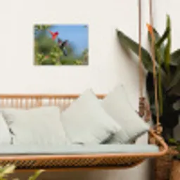 Kolibrie - Bloem - Natuur - Groen tuinposter los doek klein -sfeer7