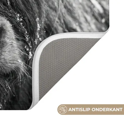 Schotse hooglander - Zwart - Wit - Sneeuwvlokken Badmat klein -USP_AntislipNL