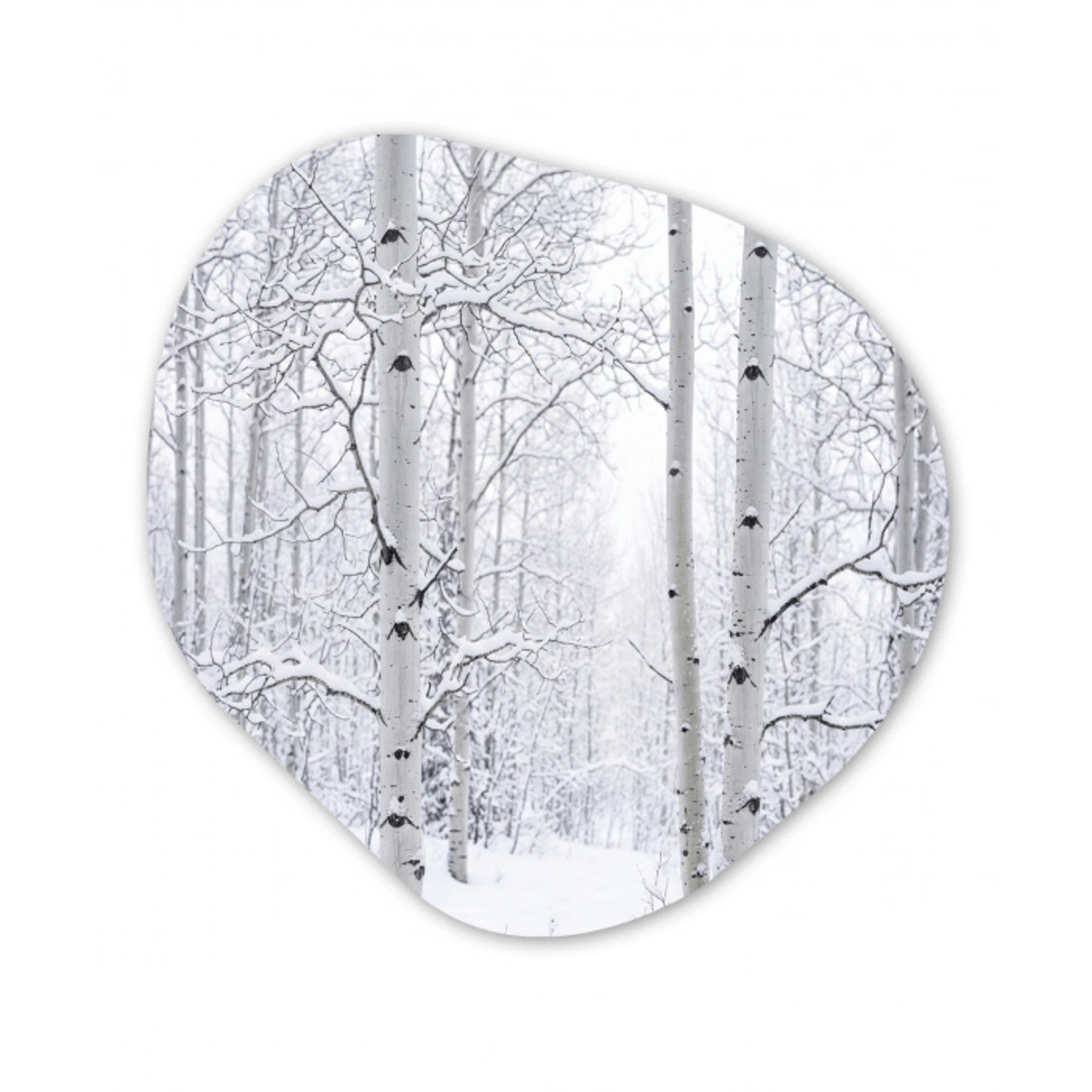 Berkenbomen - Sneeuw - Winter - Bos - Wit Wandcirkel Organisch Forex 3mm klein -3d