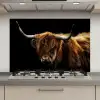 Schotse Hooglander - Horens - Zwart - Dieren - Natuur - Wild - Koe keuken achterwand spatscherm klein -3d_website