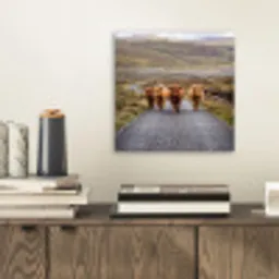 Schotse Hooglanders - Weg - Landschap - Kudde aluminium wit klein -sfeer1