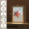 Zeester - Strand - Zee Light Box met kabel (Tafellamp) klein -USP_NL