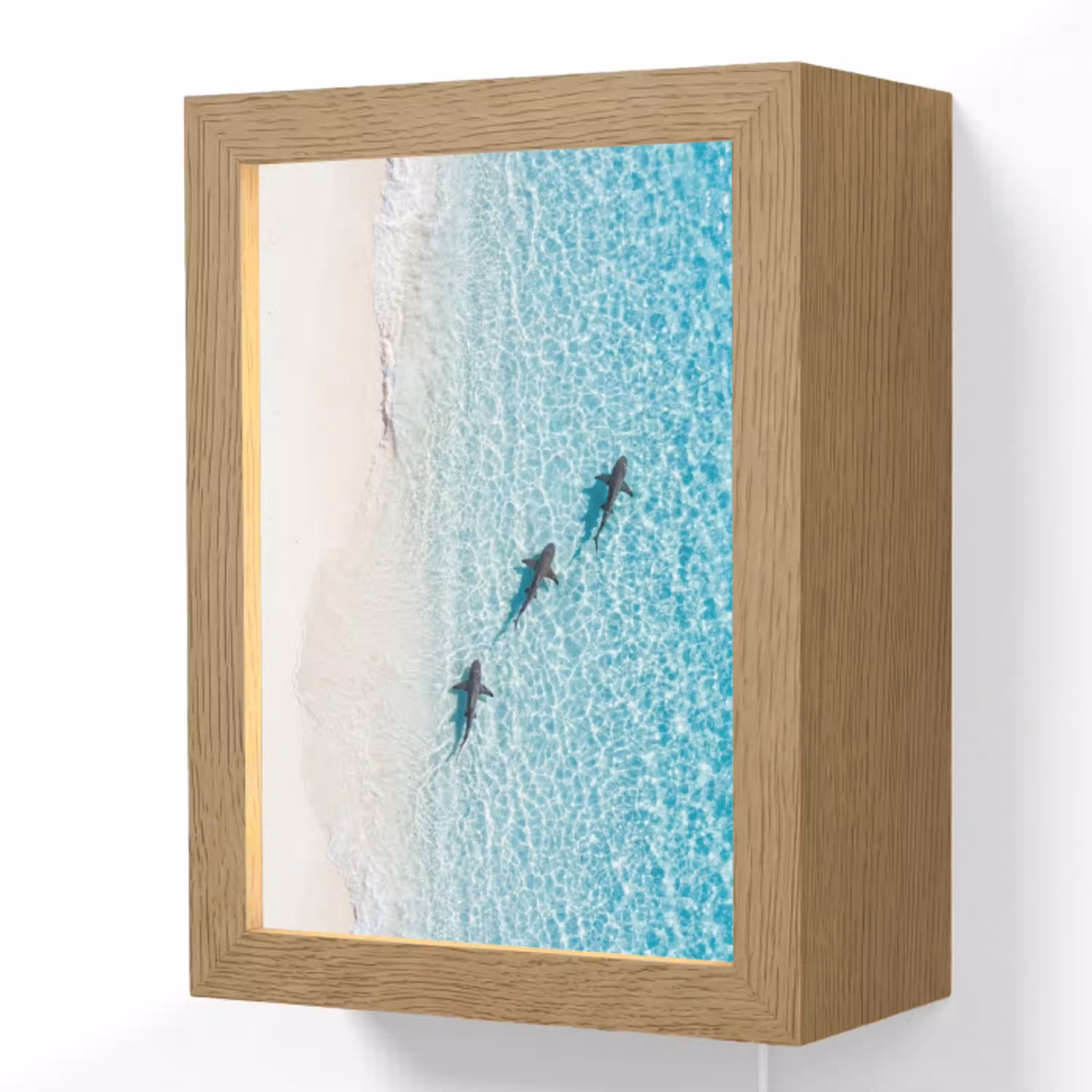 Vis - Oceaan - Strand - Turquoise - Natuur Light Box met kabel (Wandlamp) klein -3d