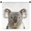 Koala - Koala beer - Meisjes - Jongens - Kinderen - Dieren Wandkleed katoen klein -zz3d