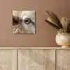 Schaap - Oog - Wit plexiglas 5mm klein -sfeer5
