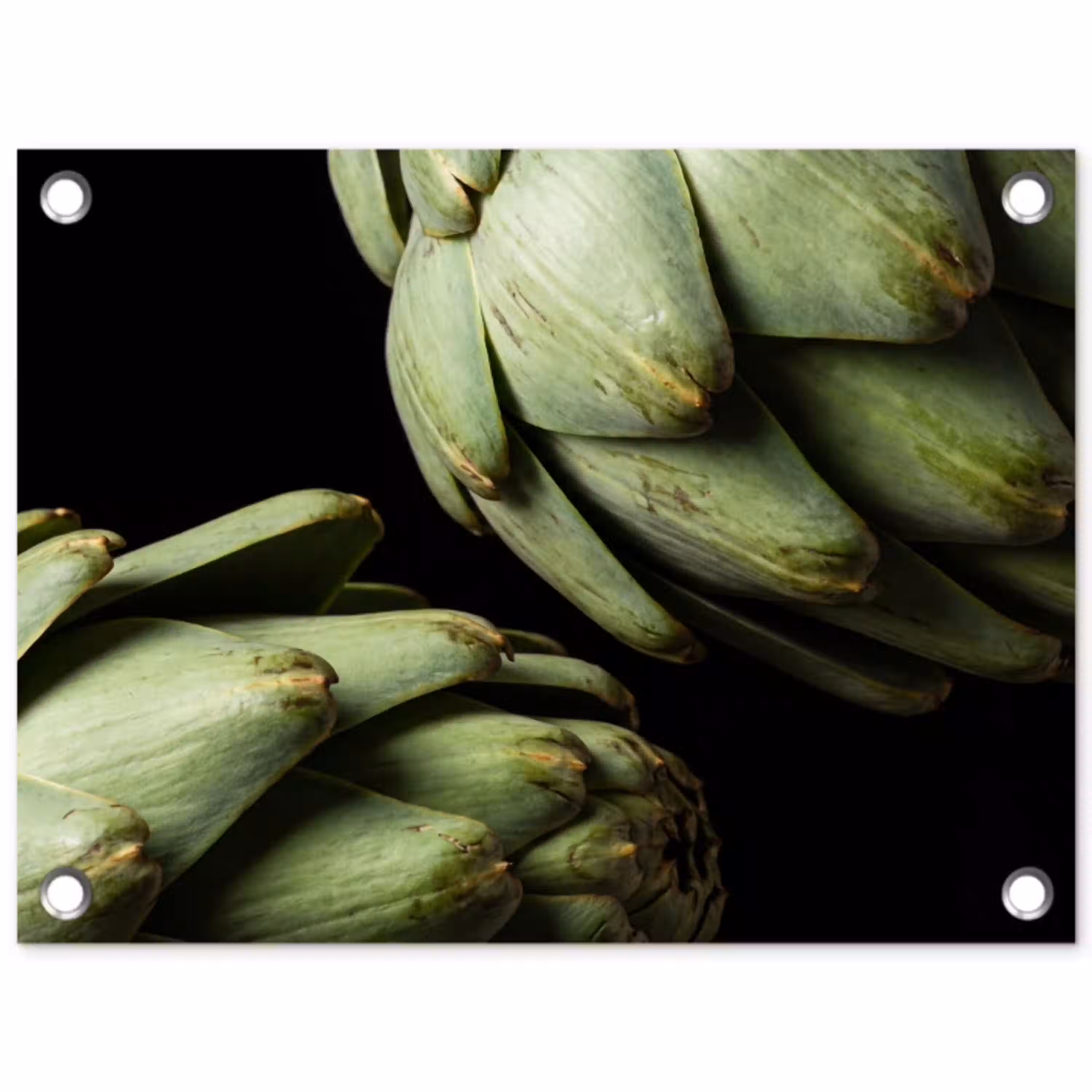 Artisjok - Groen - Eten tuinposter los doek klein -3d