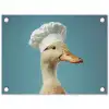 Eend - Koksmuts - Cute - Vogel tuinposter los doek klein -3d