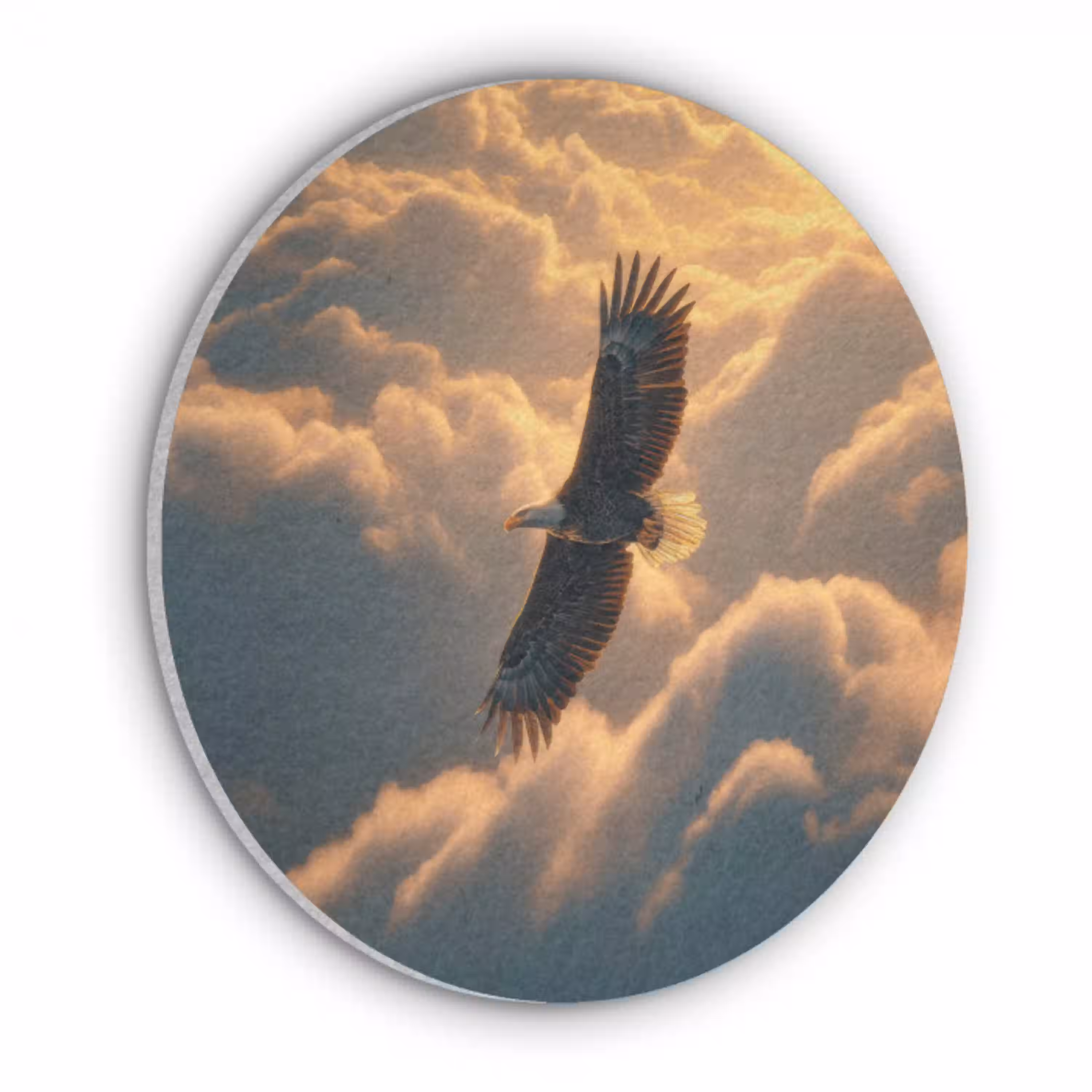Adelaar - Wolken - Zon Akoestische PET Vilt - Rond klein -3d
